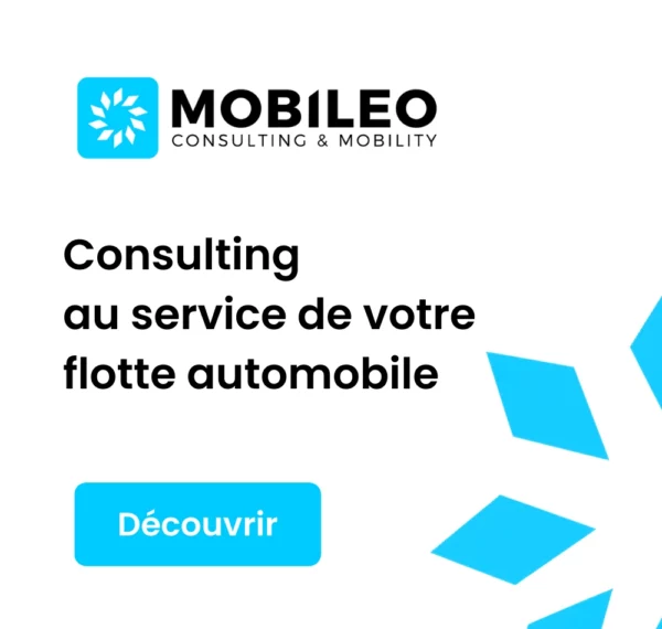 Mobileo Consulting pour les gestionnaires de parc